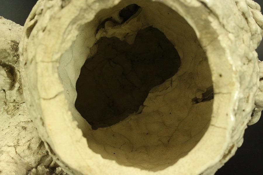 古美術 古萩 獅子 置物 時代物(A676)