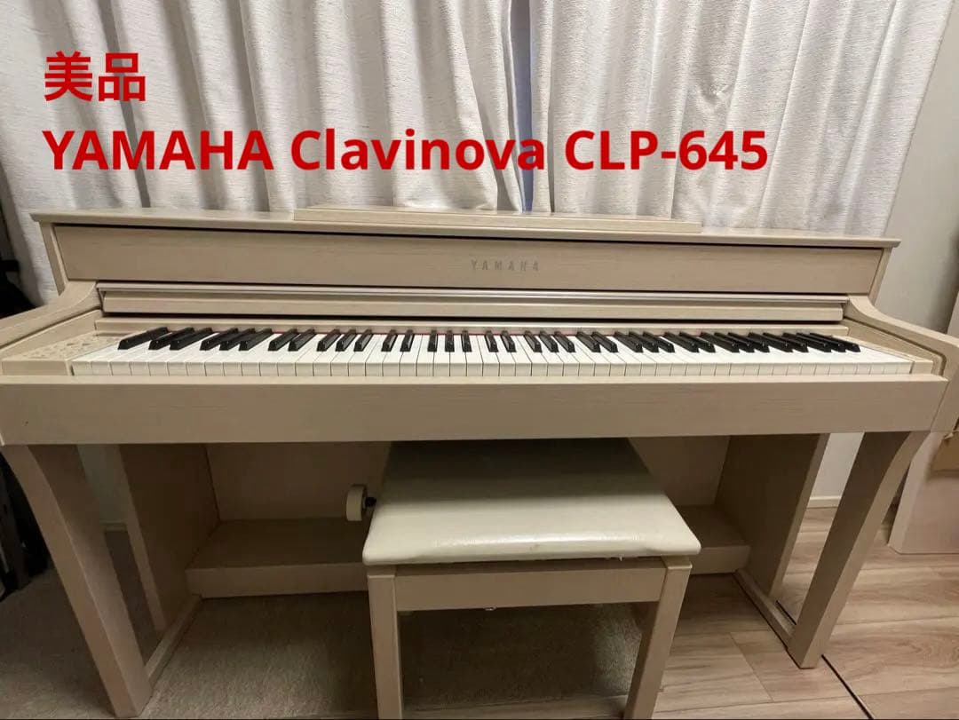 【イーサン】19年製【美品・高級モデル】CLP-645クラビノーバ