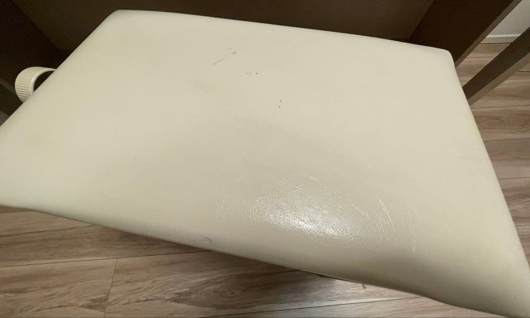 【イーサン】19年製【美品・高級モデル】CLP-645クラビノーバ