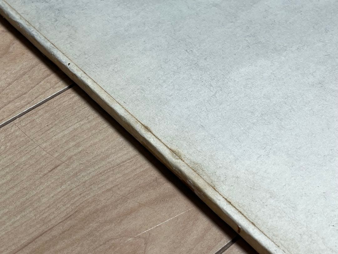 真作保証 小西寿生 墨絵 日本画 「蛍」 肉筆 サイン有り / 超希少