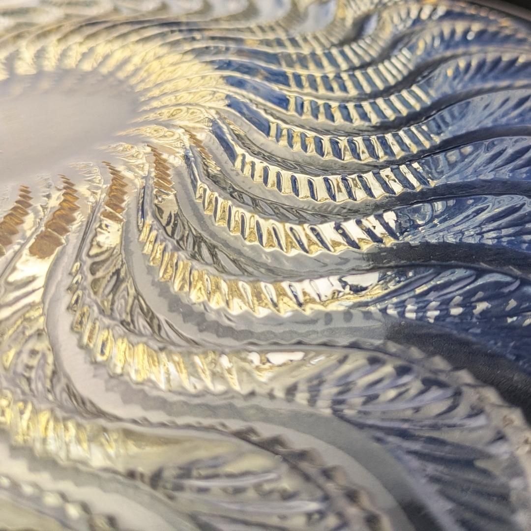 ルネ ラリック オパルセント皿 アクティニア イソギンチャク 1933年頃作品