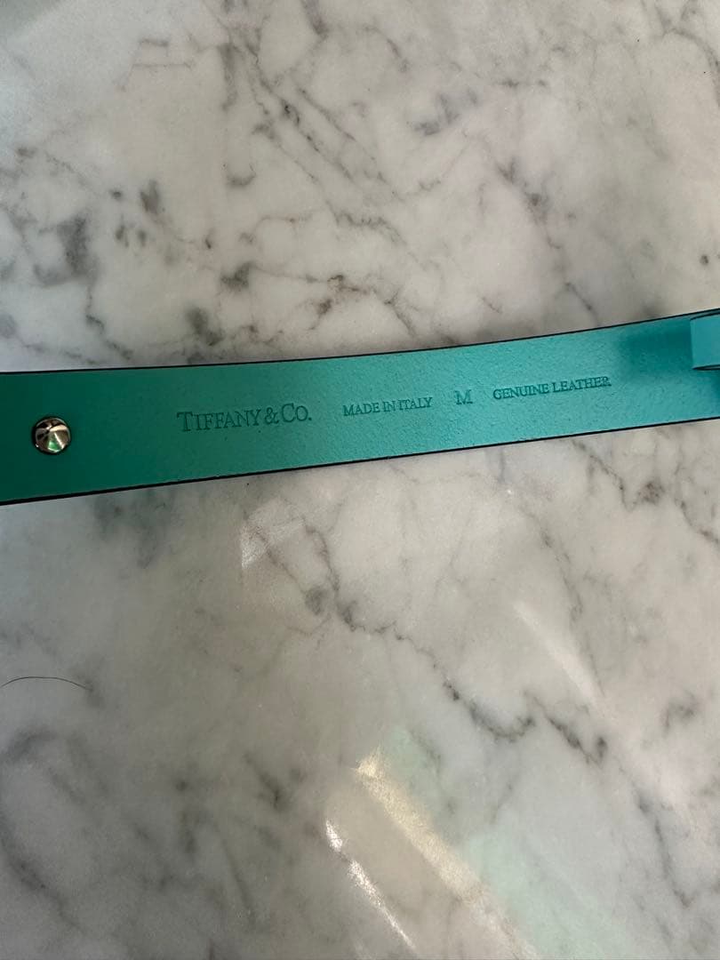 Tiffany & Co. ティファニーブルー レザー首輪mサイズ (未使用品)