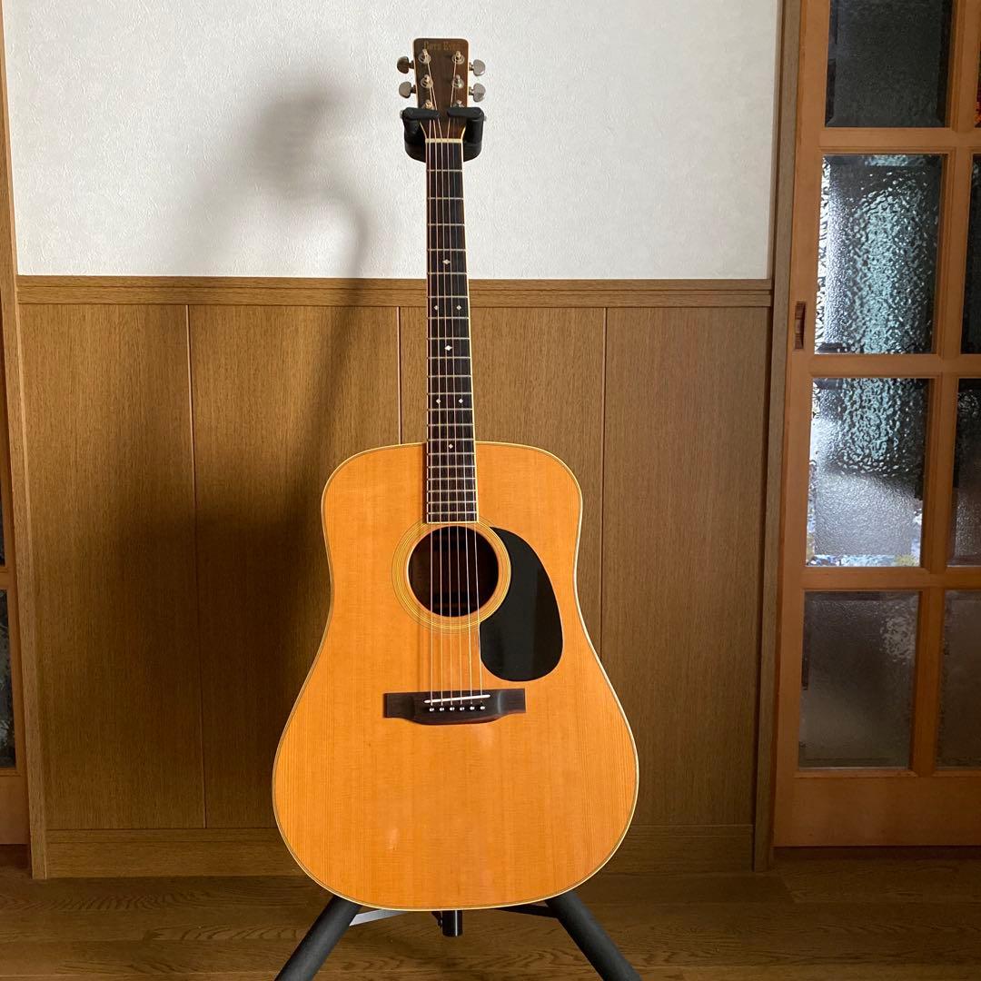 MC　希少Cat's Eyes CE-800 前期ハカランダ