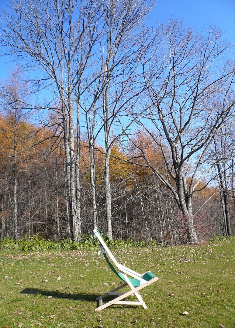 【BYER】MADE IN USA ペノブスコットグライダー2脚セット USED