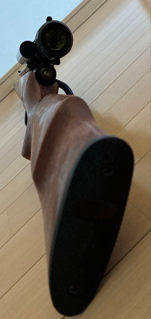 サイト付きSS9000BB弾使用、バネ無し 、サイトのみでも高額なのでお買い得！