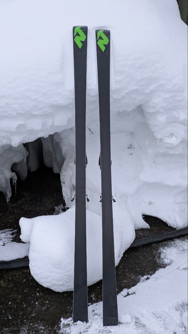 ノルディカ Nordica GS World Cup スキー板 188cm