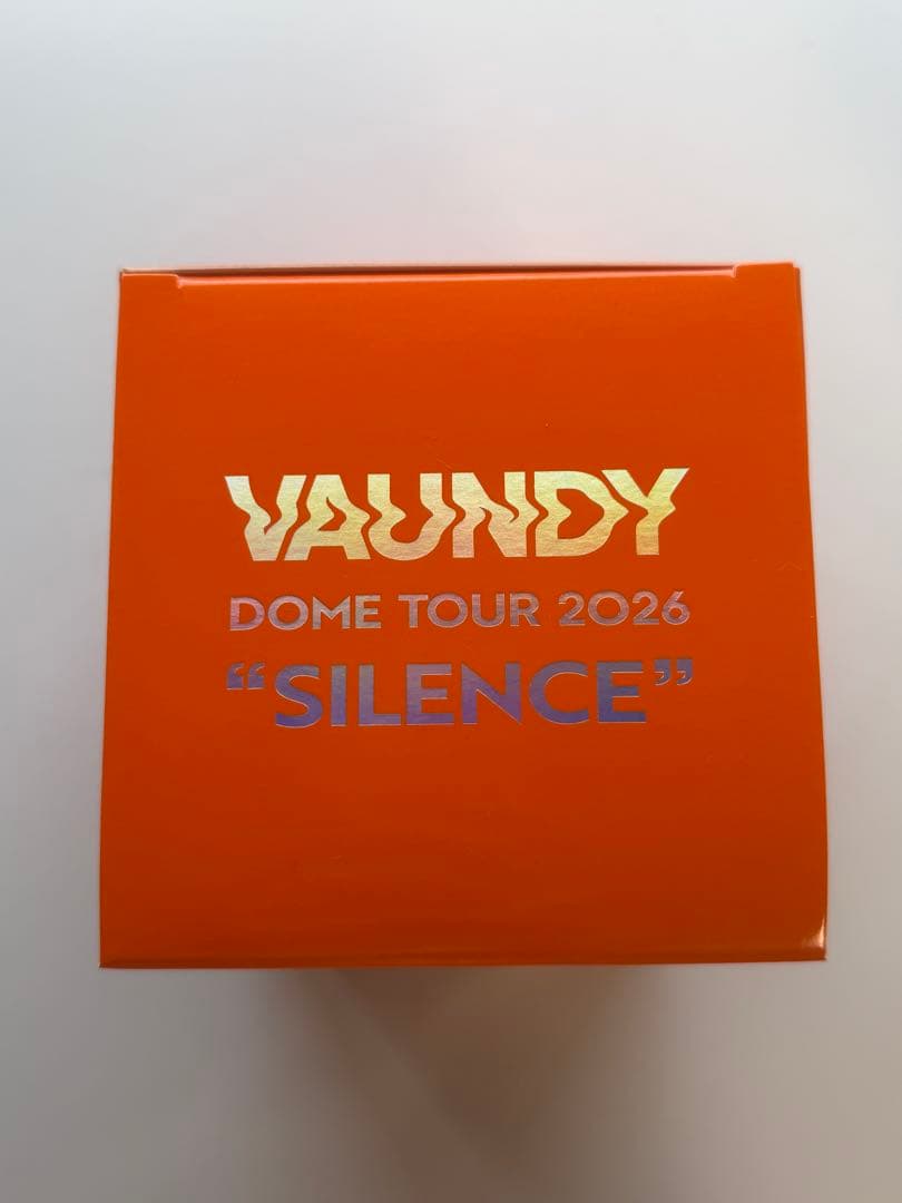 VAUNDY DOME TOUR2026 SILENCE 3点セット