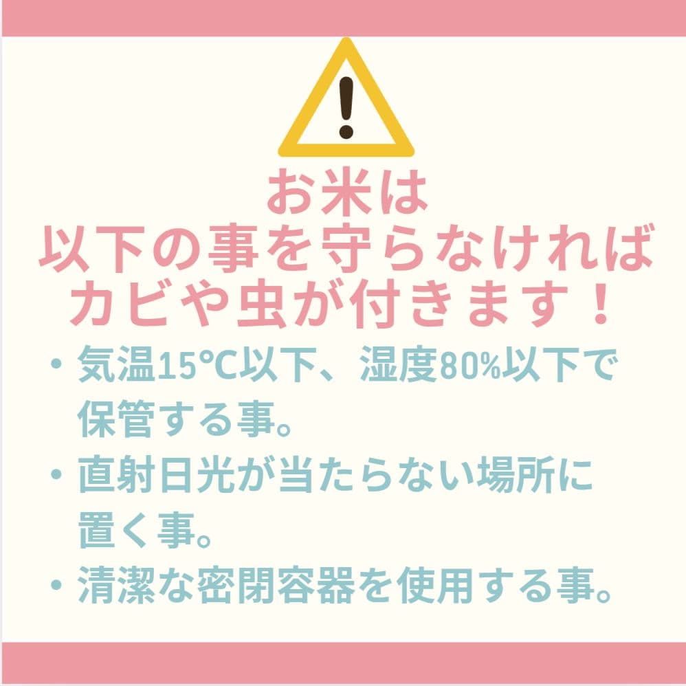 もち玄米■ヒメノモチ　20㎏(5kg×4袋)一等米☆農家直送