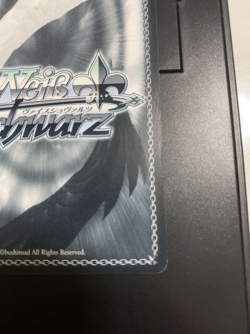 SSP “桜舞う空で”木之本桜1