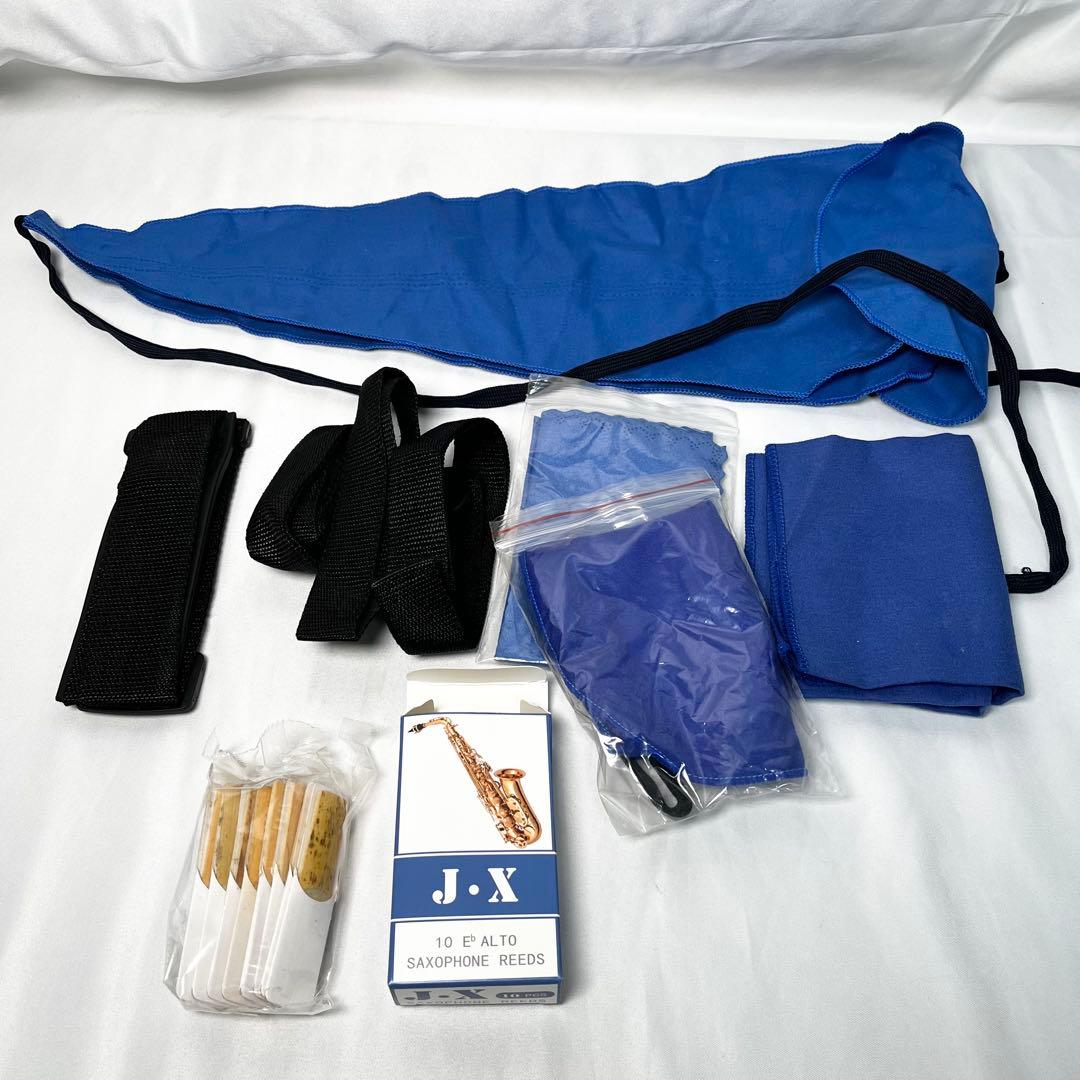 CARINA アルトサックス ケース付