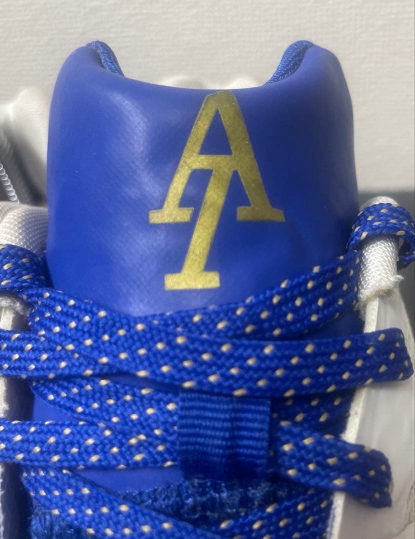 NIKE ナイキ HYPER LIVE バスケットボールシューズ イグダラ