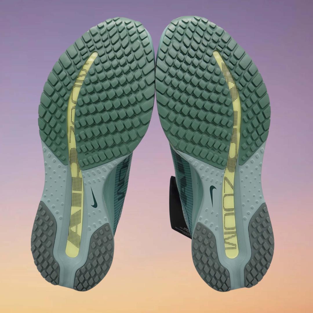 未使用・新品　NIKE ナイキ ペガサスプレミアム 29㎝ HQ2592-009