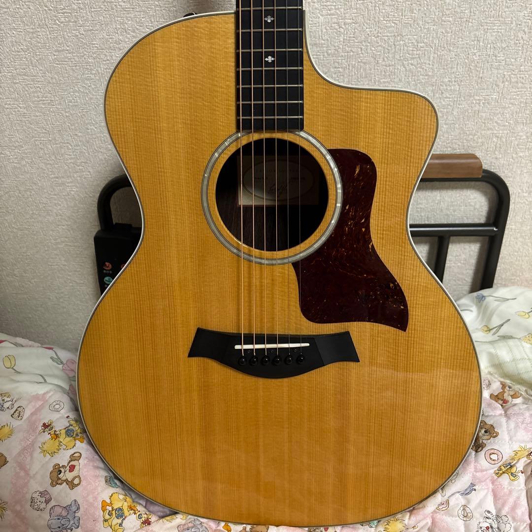 み*ー様 Taylor 214ce DLX 2021年製