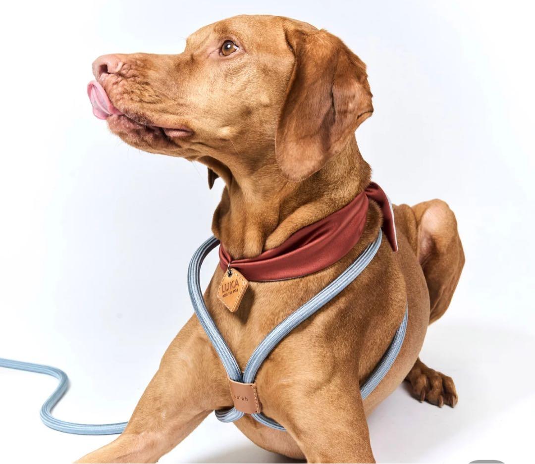 boo'oh 犬用 ハーネス Ray Harness デコピン　大谷