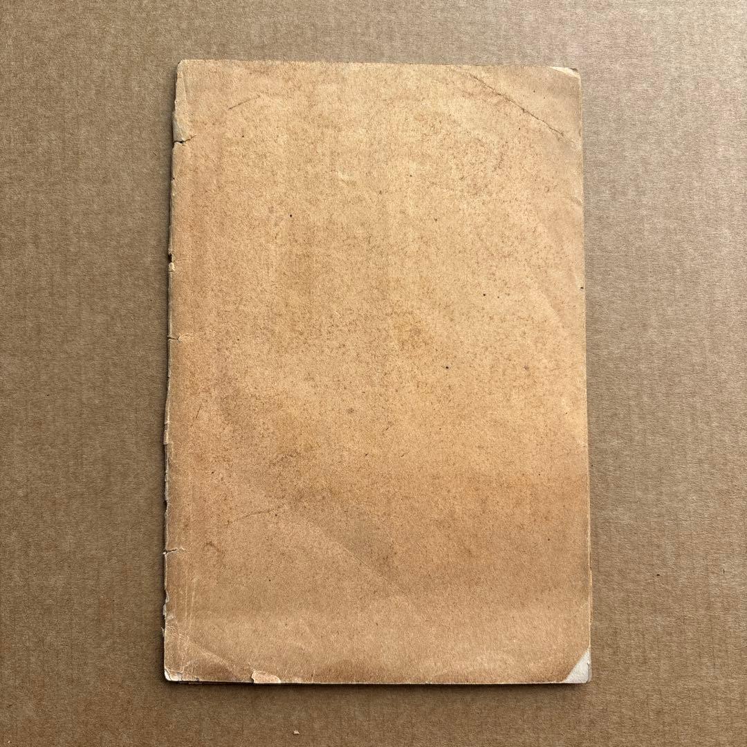 【激レア明治古書】人間生涯無病之新法 明治20年 衛生法 健康法 挿絵多数 史料