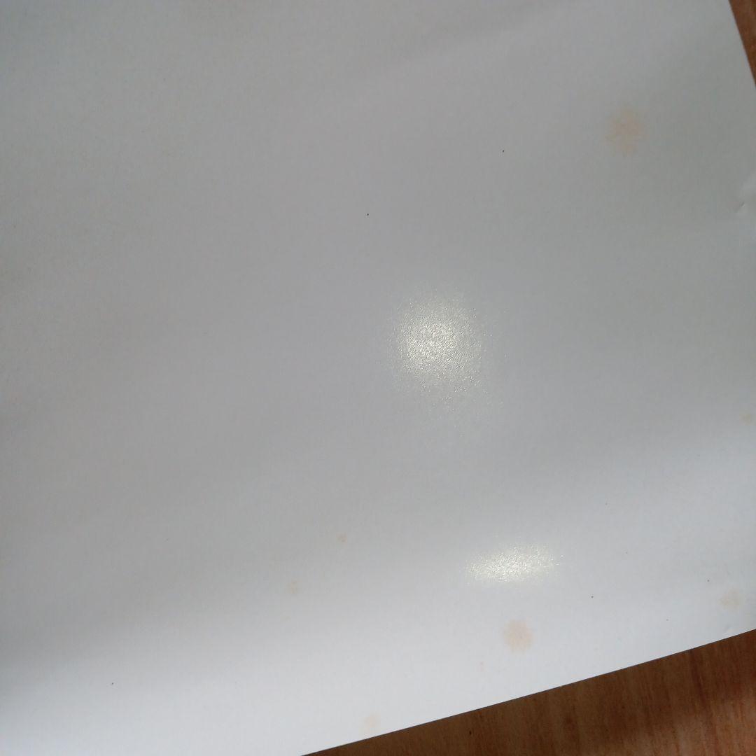 ✮本日限定✮hide 等身大ポスター