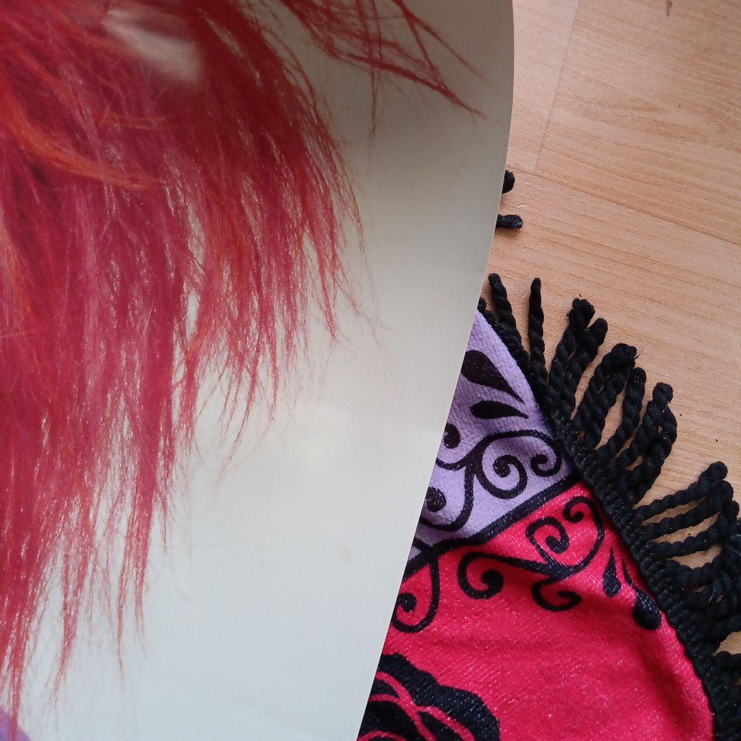 ✮本日限定✮hide 等身大ポスター