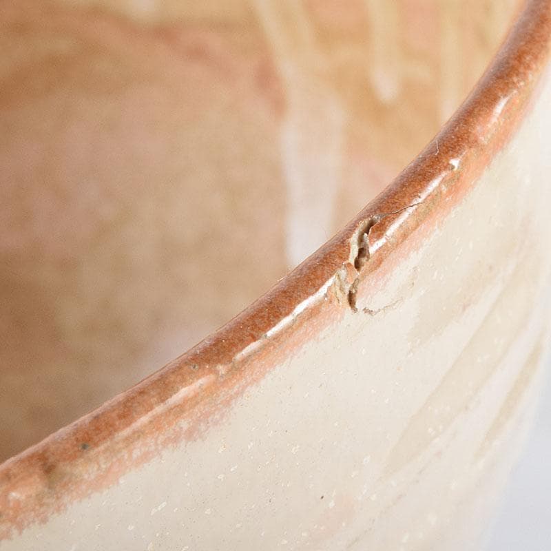 瀬戸焼　杉浦芳樹造　数茶碗　十客　堀内宗完（兼中斎）極め箱　M　R9292H