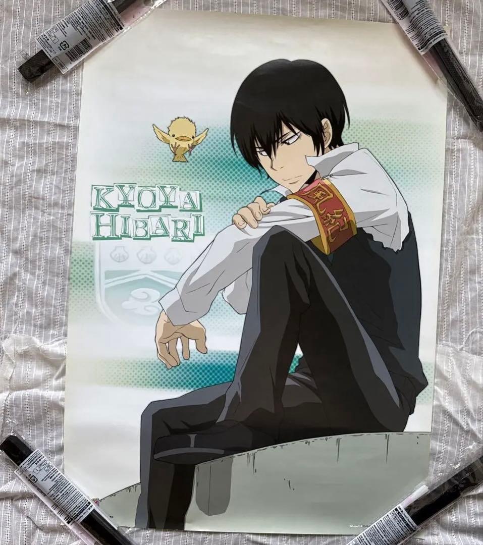 希少 家庭教師ヒットマンREBORN ポスターコレクション ポスガチャ10枚