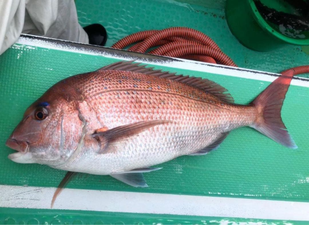 シマノ　艏　20-270