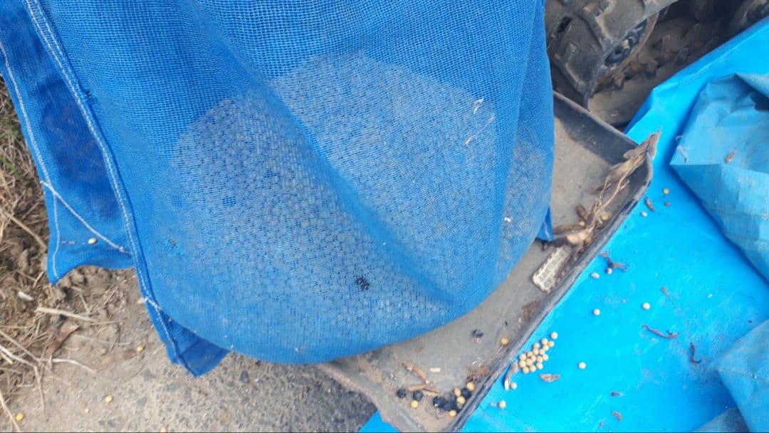 【sora】農薬・化学肥料不使用　令和7年度産　滋賀県産大豆8000g