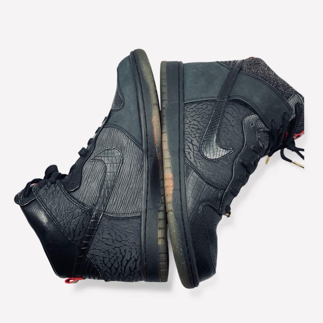 希少】NIKE マイティクラウン　20周年　ダンク ハイ プレミアム　28