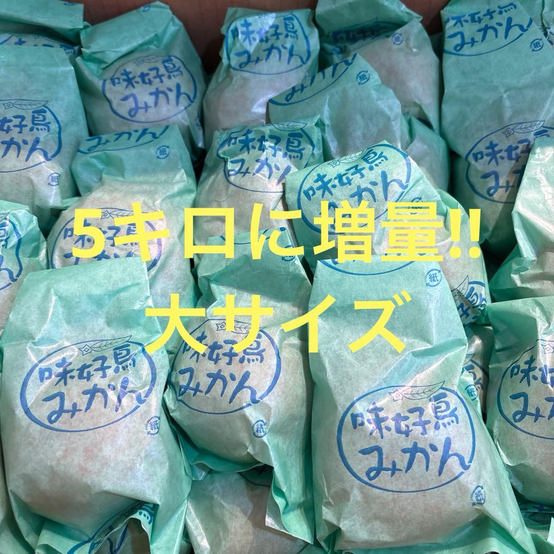 味好鳥' 袋掛けみかん 大サイズ JAながさき県央