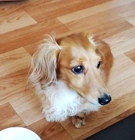 みるく様　画像確認用