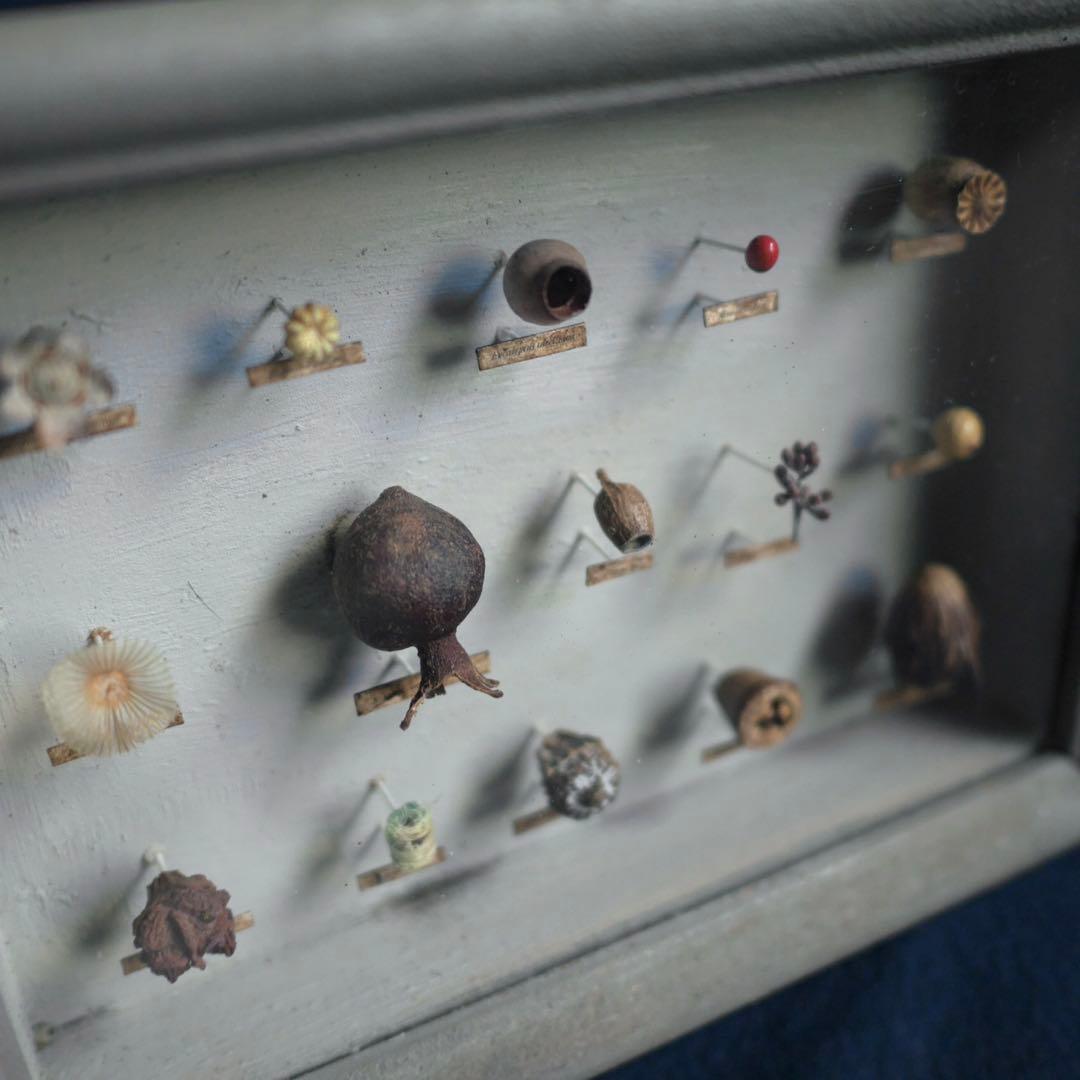 西別府久幸 「森のオトシモノ」