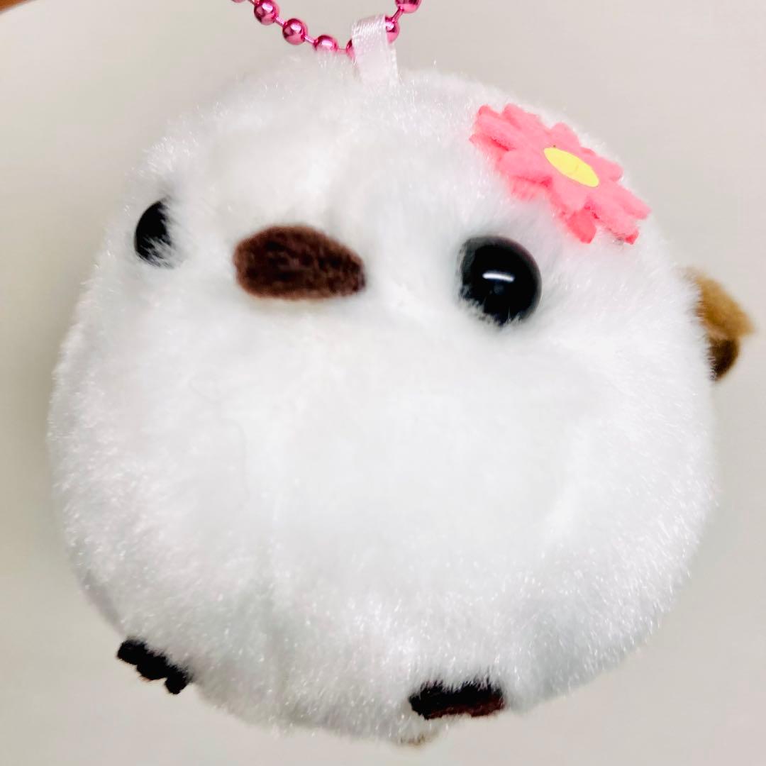 ふくふく シマエナガ カラフルフラワー ぬいぐるみ　マスコットしまゑガーベラ