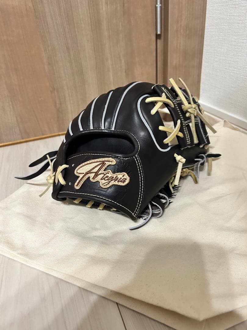 アレグリア　硬式内野　IMF25 屋外未使用　型付済　glove box 大阪
