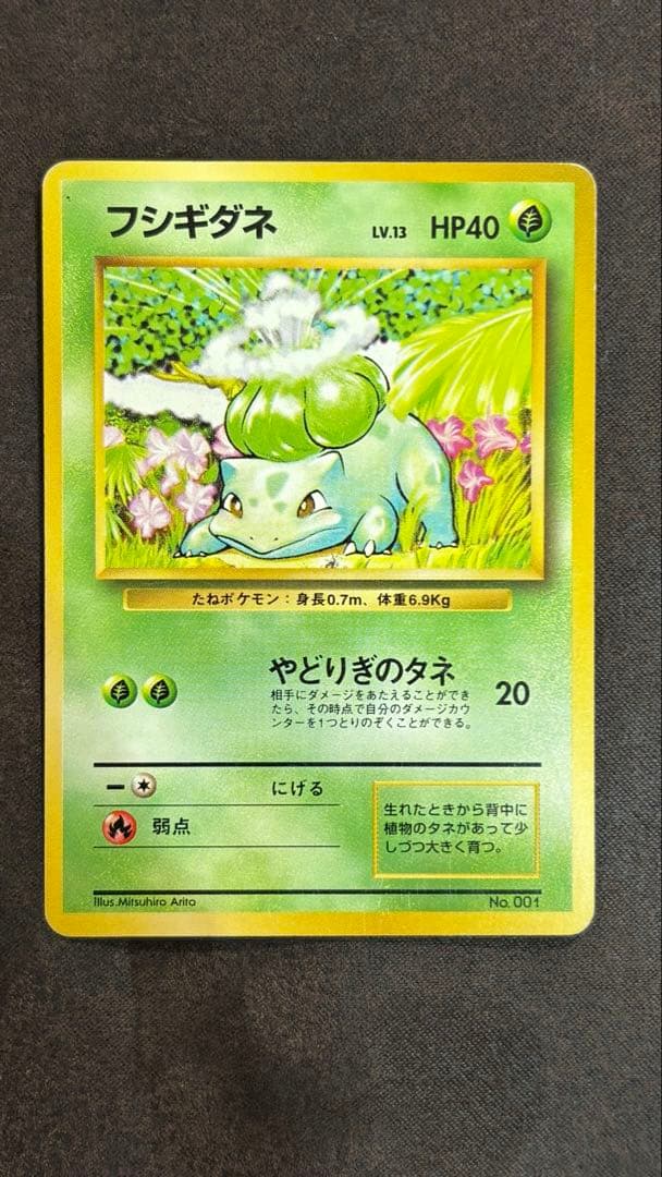 旧裏初版フシギダネ 第1弾拡張パック　マークなし