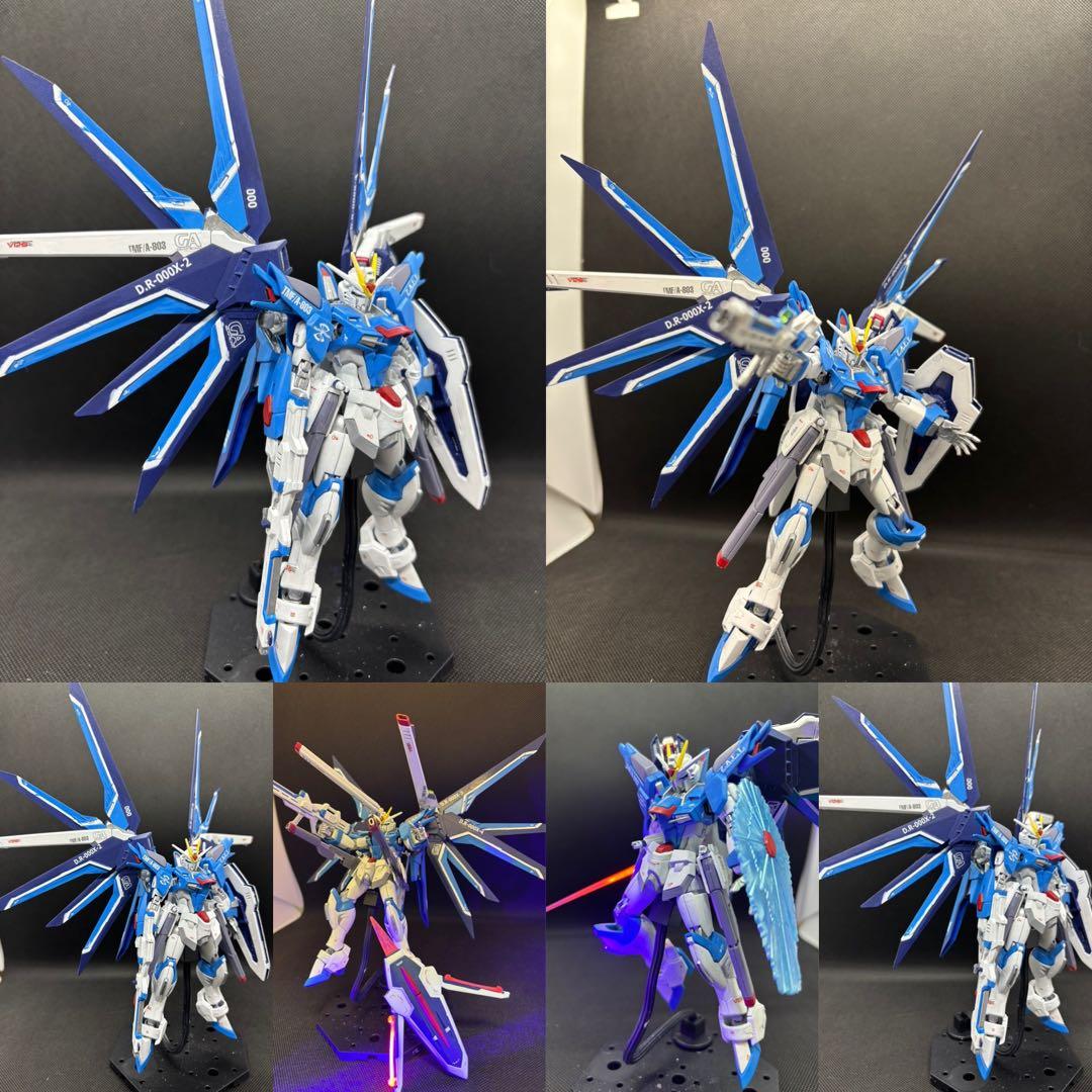 HG ライジングフリーダムガンダム 全塗装済み 筆塗り完成品／艶消し仕上げ