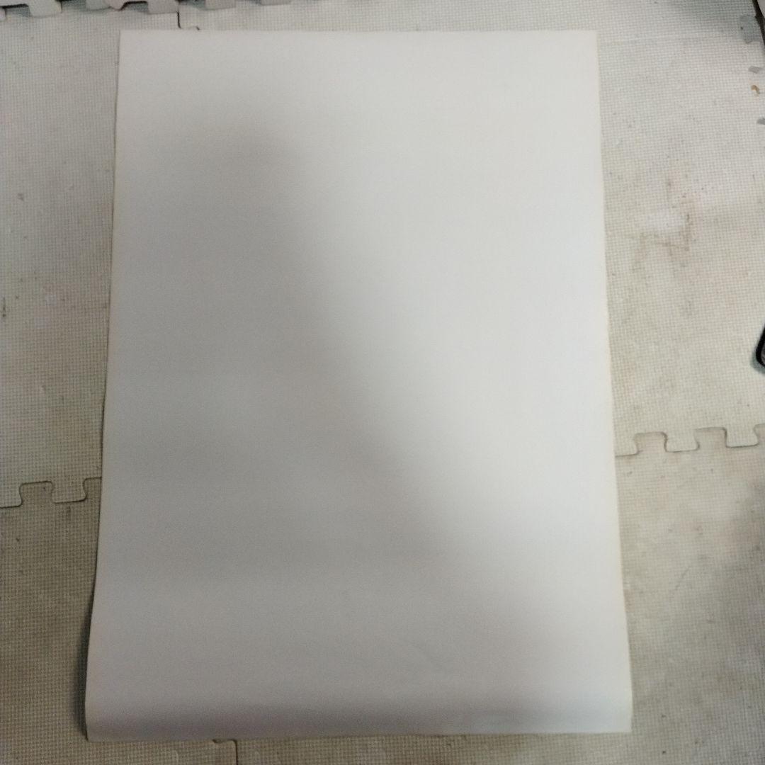 資生堂　セリア・キャロン　ポスター サンフレア　この夏　その気