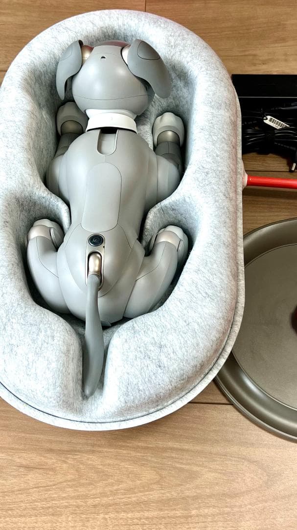 Sony aibo ERS-1000　限定カラーモデル「黒ゴマエディション」