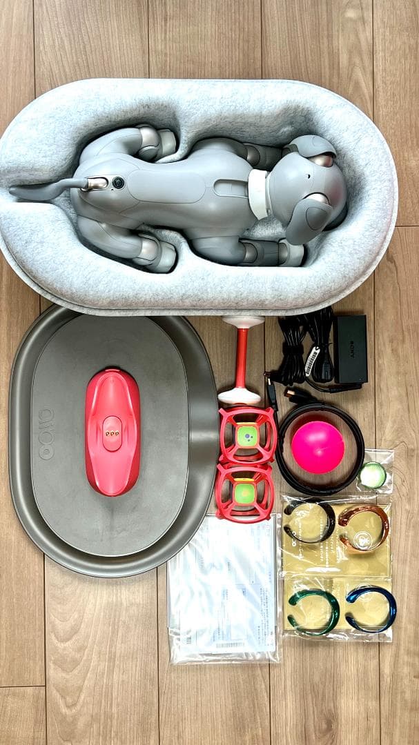 Sony aibo ERS-1000　限定カラーモデル「黒ゴマエディション」