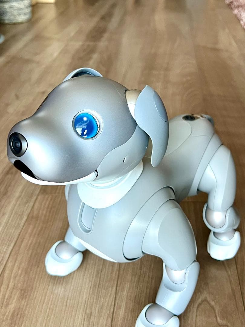 Sony aibo ERS-1000　限定カラーモデル「黒ゴマエディション」