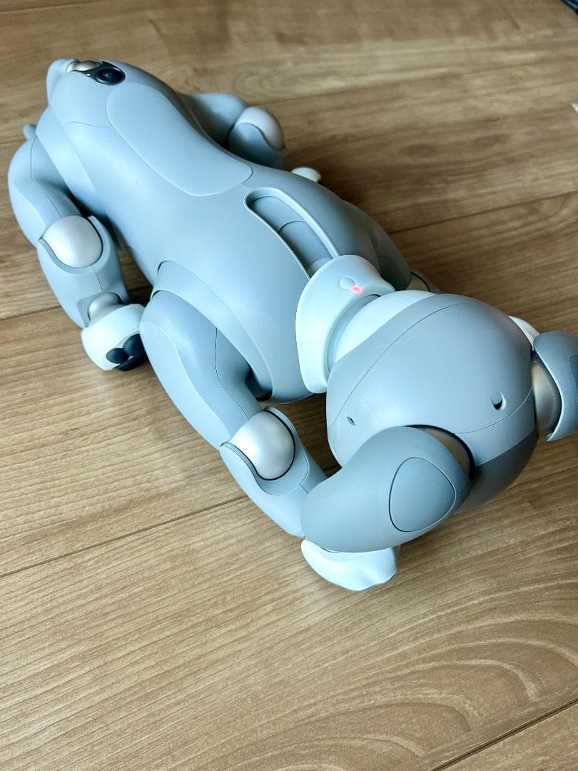 Sony aibo ERS-1000　限定カラーモデル「黒ゴマエディション」
