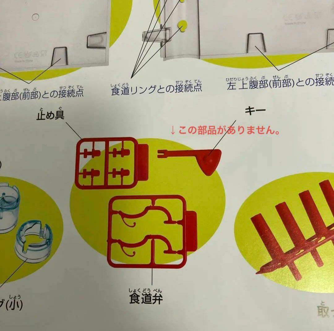 アーサーが教える体のふしぎ 1~ 80巻セット人体模型