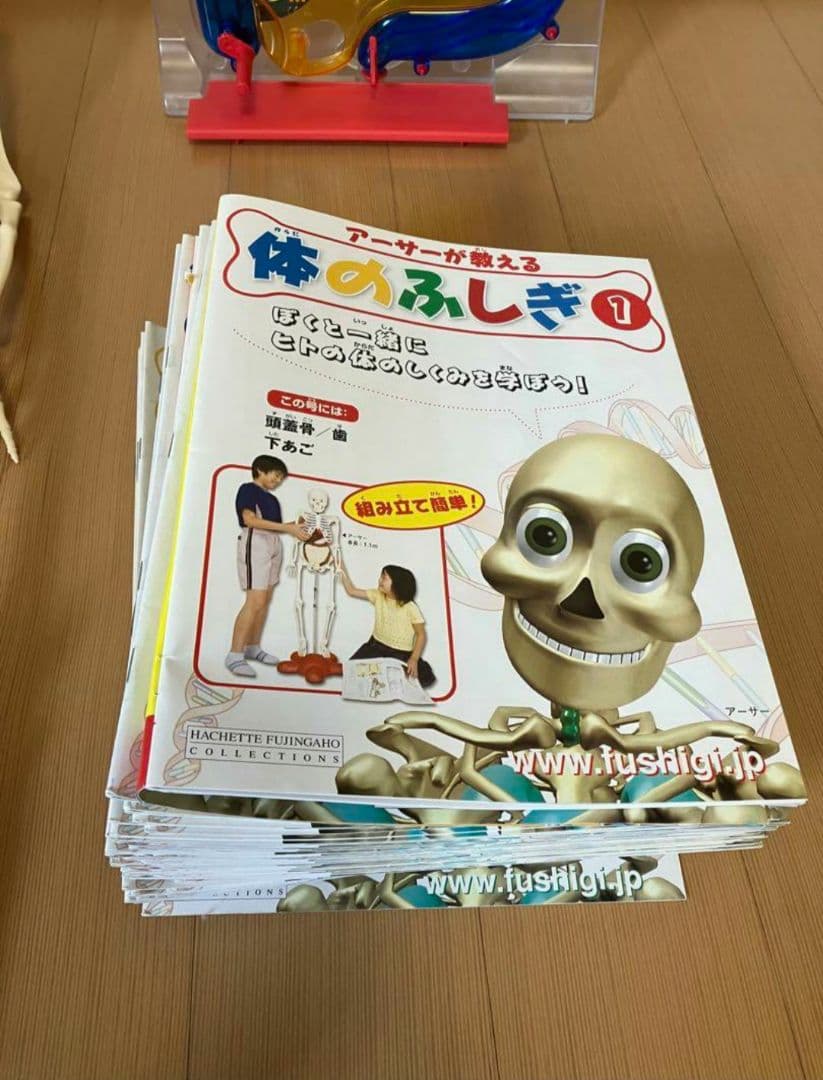 アーサーが教える体のふしぎ 1~ 80巻セット人体模型