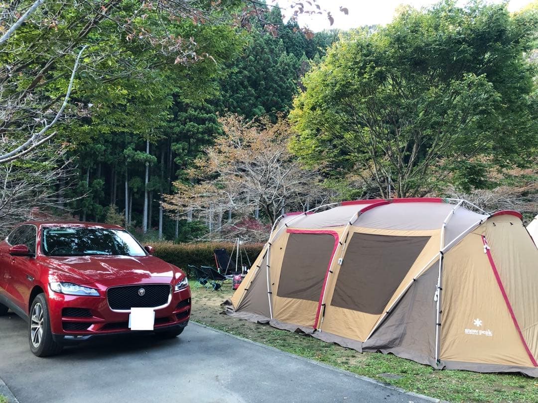 【直接手渡し要相談】  peak TP-670 ランドロック