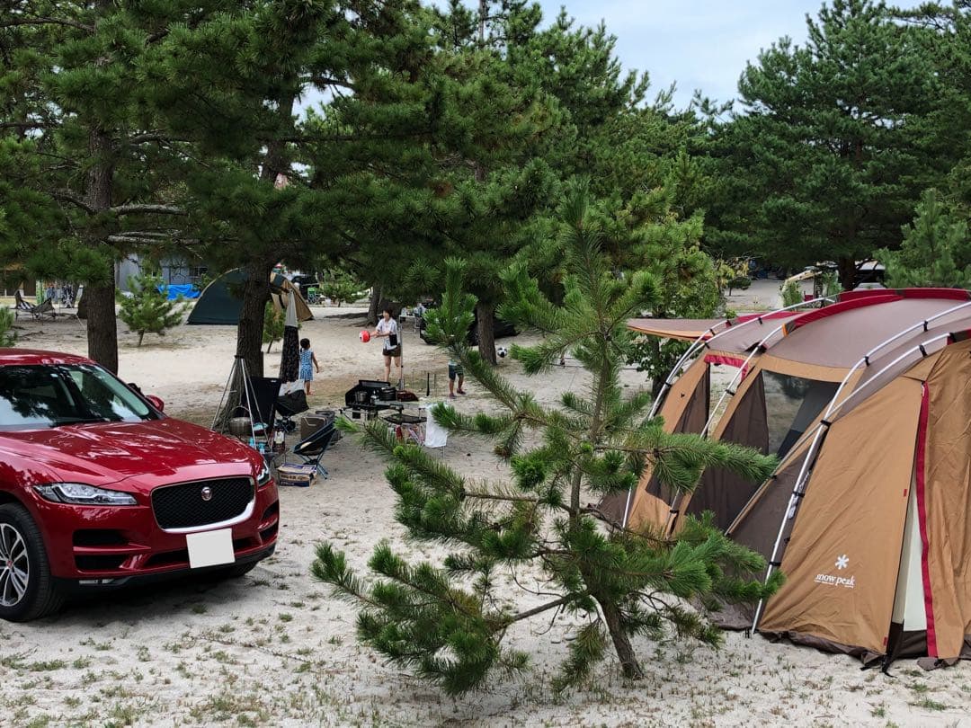 【直接手渡し要相談】  peak TP-670 ランドロック