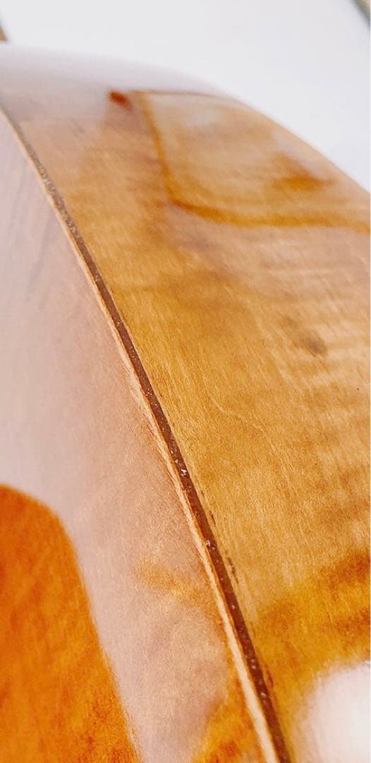 【超希少 メンテ済】L.PATENOTTE Lutheir マンドセロ 12弦