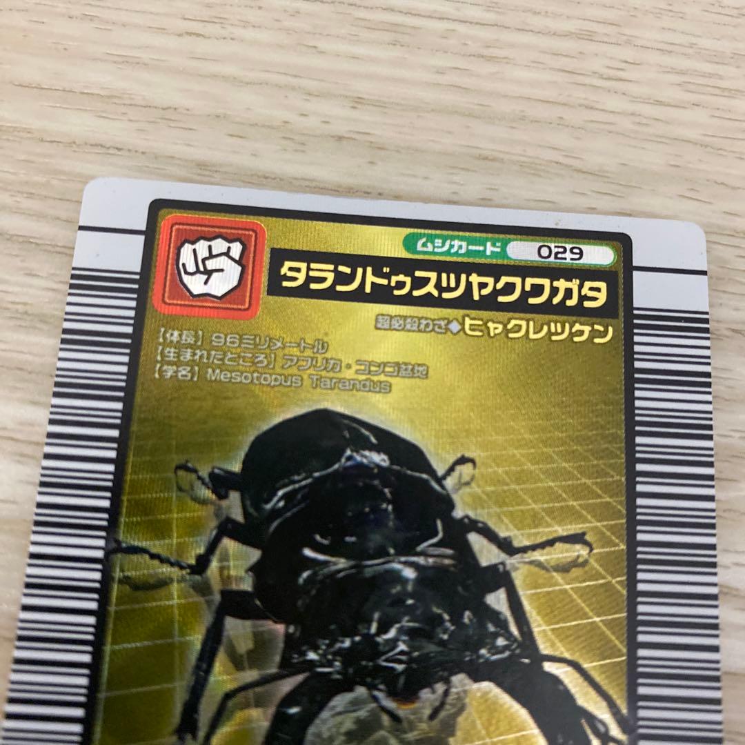 ムシキング　タランドゥスツヤクワガタ