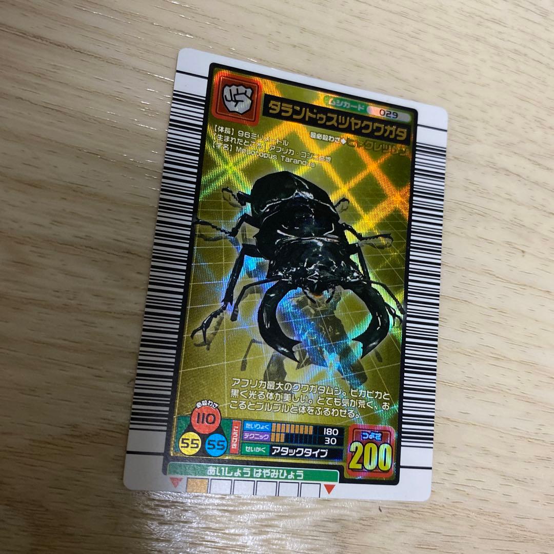 ムシキング　タランドゥスツヤクワガタ