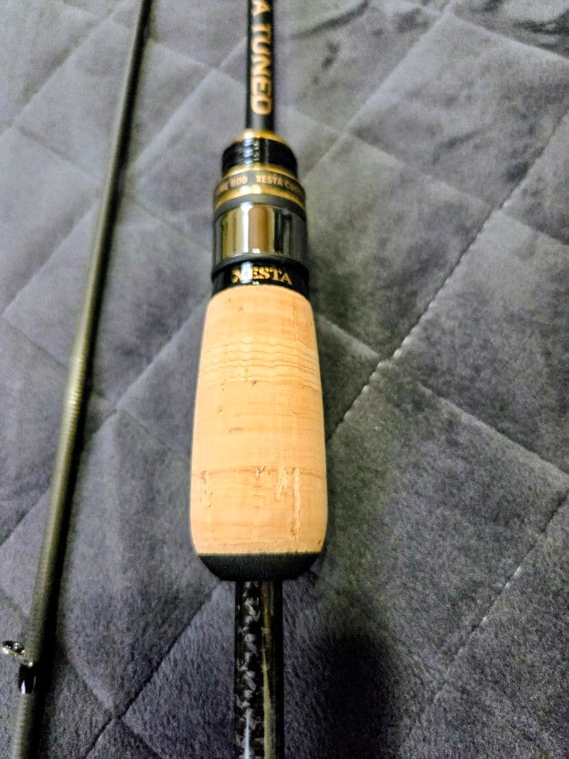 ゼスタ ブラックスター エクストラチューンド フルレンジコントローラー最終値下げ