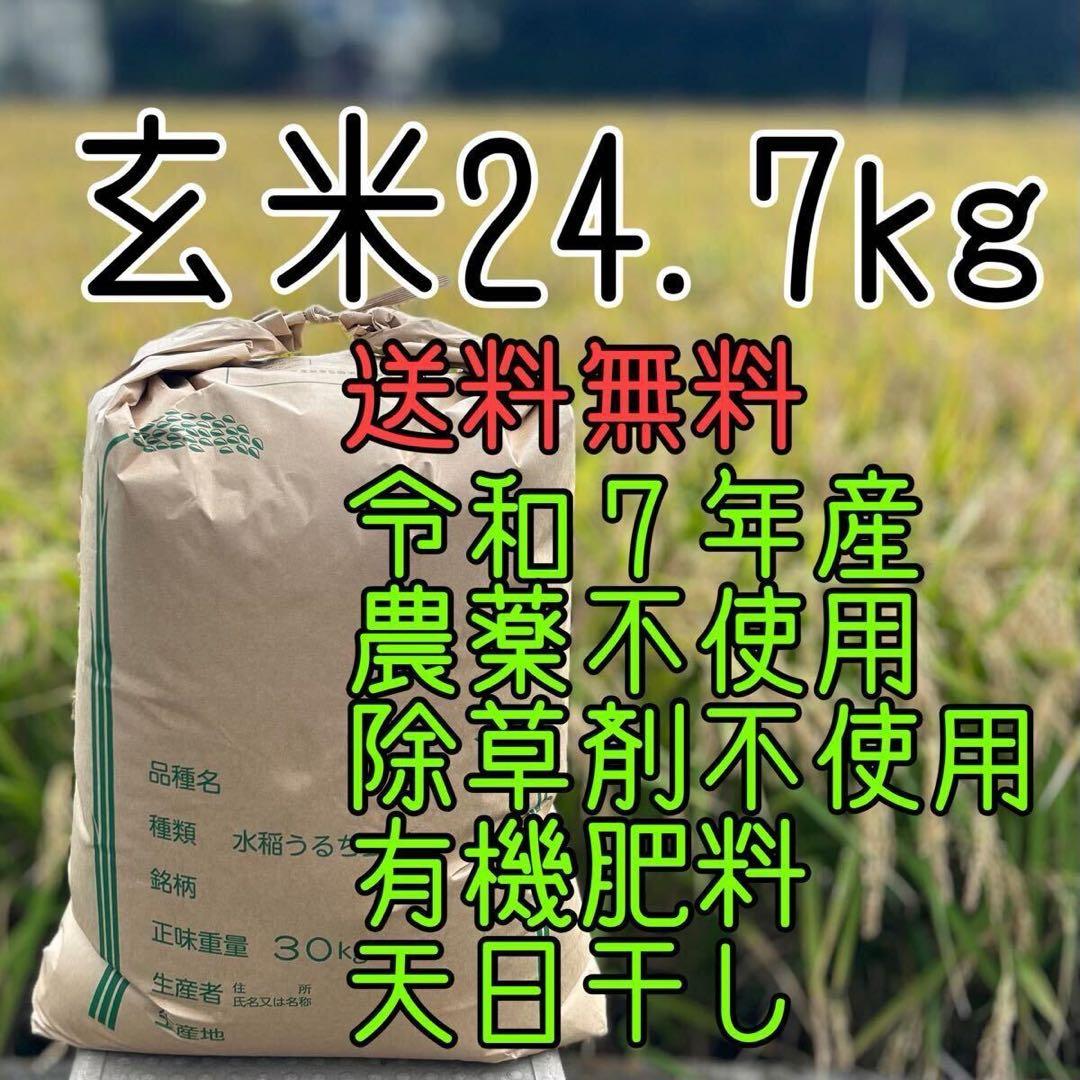 ⚫︎送料無料 農家直送 玄米24.7㎏ 農薬不使用 有機栽培 天日干し お米 静岡