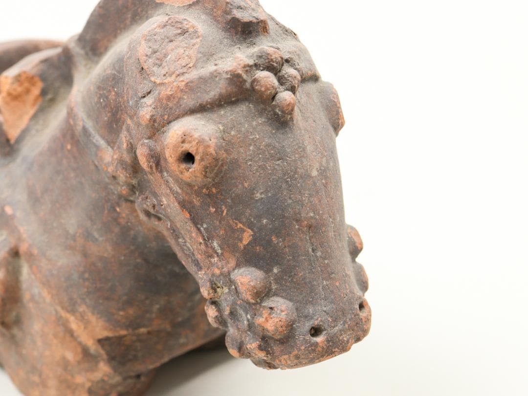 埴輪馬 発掘 土器 古墳 動物埴輪 ハニワ