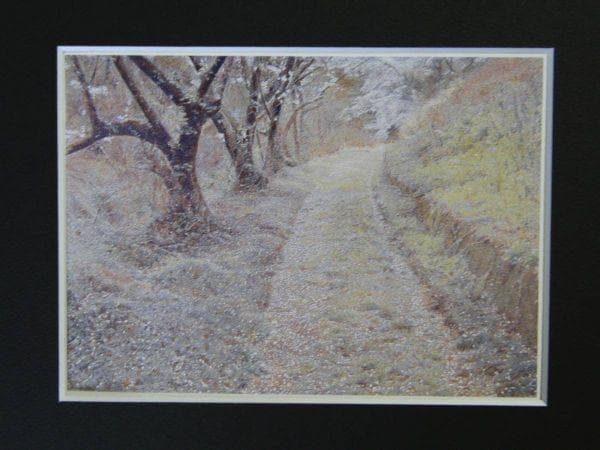 鶴田憲次、【The Earth-SAKURA・和束仁丹】、希少な額装用画集より