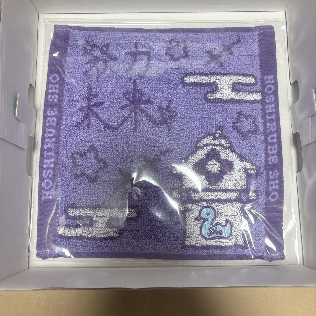 ㌰*様 星導ショウ Dytica Happy Pack 2025